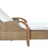 Edgewood Chaise 2 Edgewood Chaise -Furniture Elegant shop Product 444724787005 Image 1 scaled