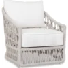 Dana Club Chair -Furniture Elegant shop Product 444725675424 Image 1