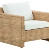 Sixty Lounge Chair -Furniture Elegant shop Product 810044071771 Image 1 scaled