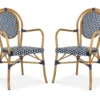 Sierra Armchairs 1 Sierra Armchairs -Furniture Elegant shop Product 889048323063 Image 1 scaled