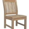 Sahara Side Chair -Furniture Elegant shop Product DJA10127 Image 1 scaled