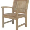 Sahara Outdoor Teak Armchair -Furniture Elegant shop Product DJA10128 Image 1
